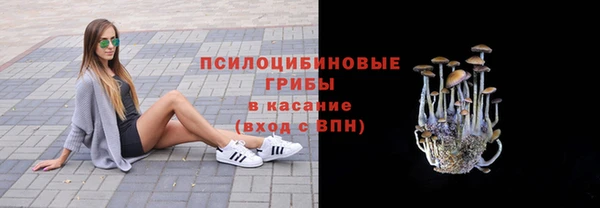 мет Коряжма
