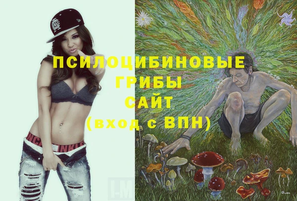 крисы Красноперекопск